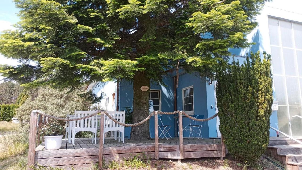 Ferienwohnung Naturparadies Gnitz Lutow Bagian luar foto